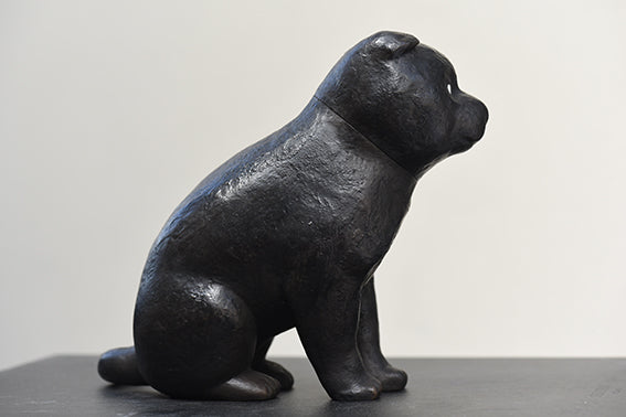 Puppy ( Kosan-ji Temple in Kyoto )
