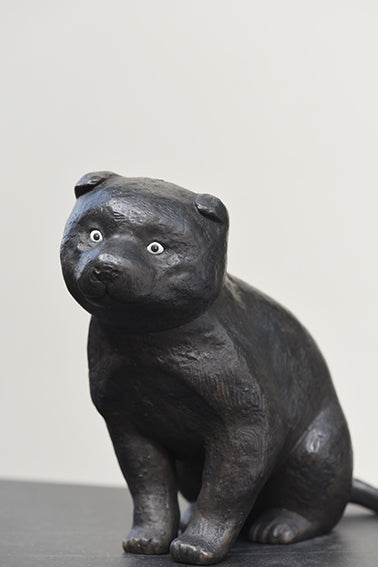 Puppy ( Kosan-ji Temple in Kyoto )